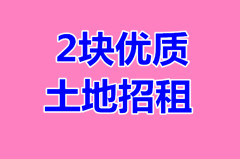 （已成交）南武城市大道路边、沙井金鸡村委附近2块优质土