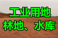 （已成交）南宁与扶绥交界处150亩工业用地，林地、水库300