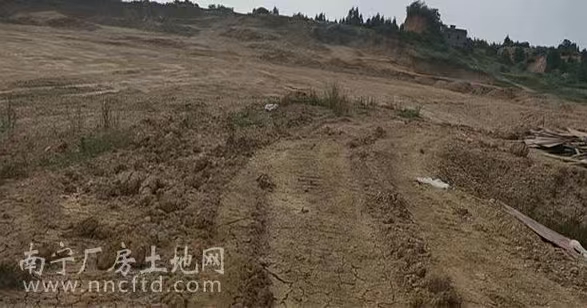 崇左市龙州镇城东区16650平方住宅用地转让或者合作
