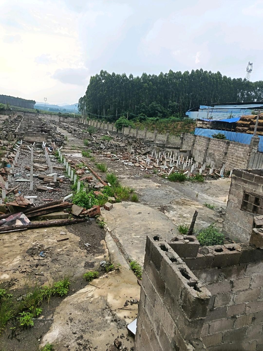 武鸣区农坛路红岭加油站附近5000平场地招租