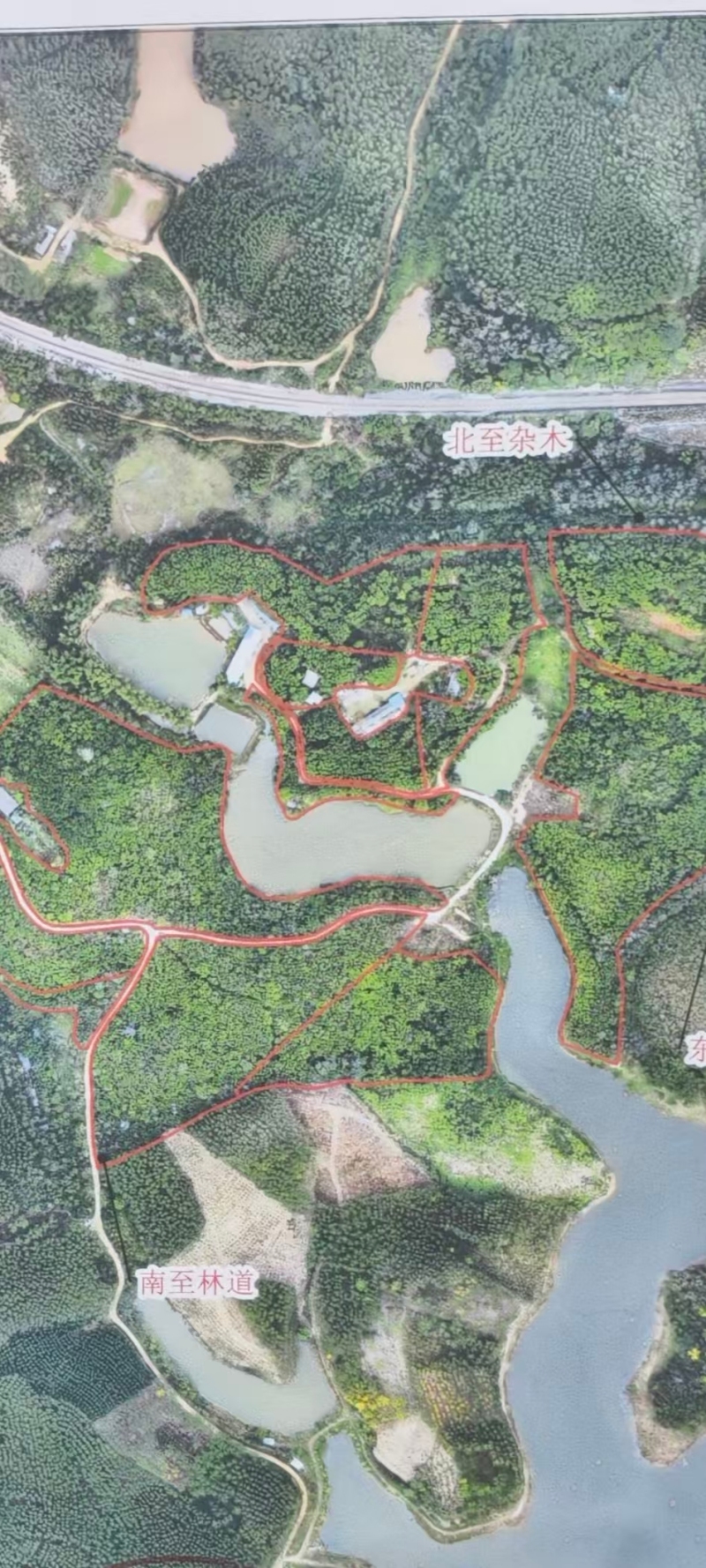 青秀区30一580亩鱼塘、土地、厂房仓库、龙眼树、桉树招租