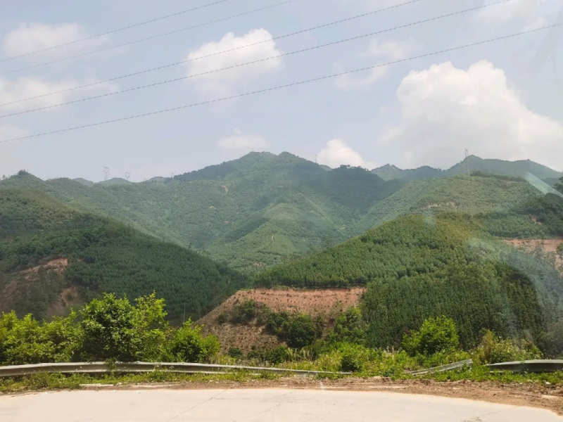 青秀区30一580亩鱼塘、土地、厂房仓库、龙眼树、桉树招租