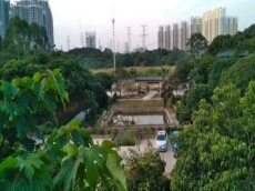 凤岭南方向青秀山旁林里桥花婆农家乐休闲山庄2亩鱼塘和2亩场地招租